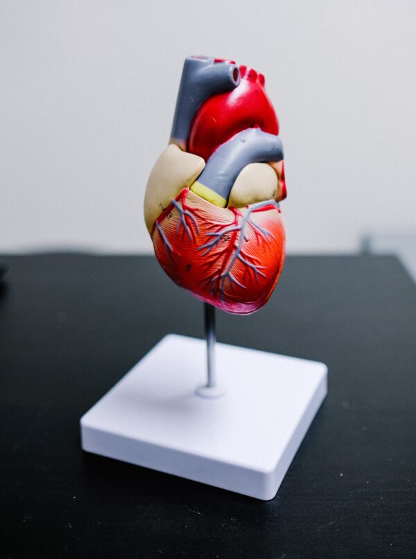 What Heart Disease Is Hereditary?